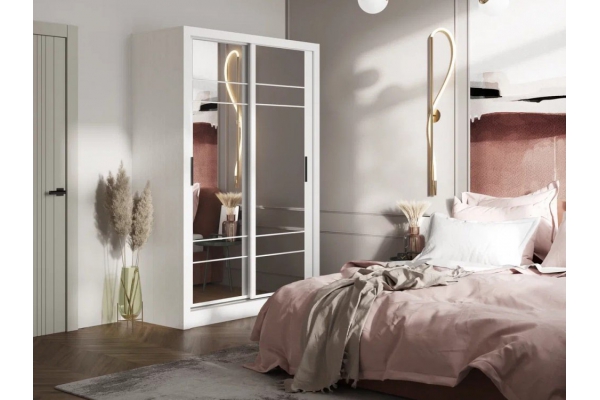 Шкаф-купе Дрим-1 1500 мм