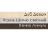 Шкаф Эдвард ШК-1