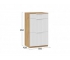 Тумба комбинированная «Хилтон» Исп.2.1 - 303.006.000 Дуб Крафт золотой, Белый матовый