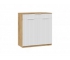Тумба комбинированная «Хилтон» Исп.2.2 - 303.003.000 Дуб Крафт золотой, Белый матовый